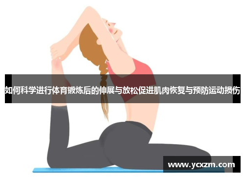 如何科学进行体育锻炼后的伸展与放松促进肌肉恢复与预防运动损伤