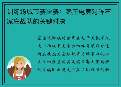 训练场城市赛决赛：枣庄电竞对阵石家庄战队的关键对决